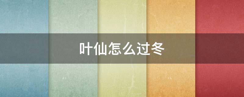 叶仙怎么过冬（叶仙过冬怎养护）