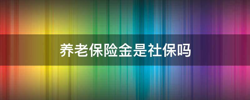 养老保险金是社保吗（养老保险金是社保吗?）