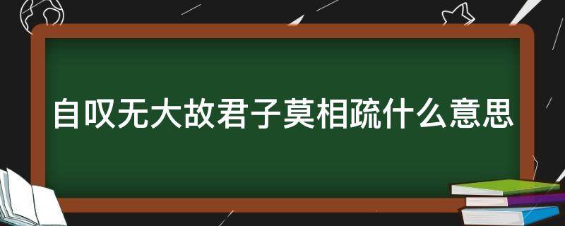 自叹无大故君子莫相疏什么意思
