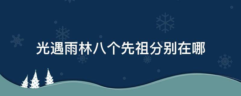 光遇雨林八个先祖分别在哪（光遇雨林八个先祖分别在哪里）