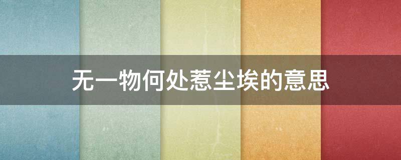 无一物何处惹尘埃的意思（心若无一物何处惹尘埃的意思）