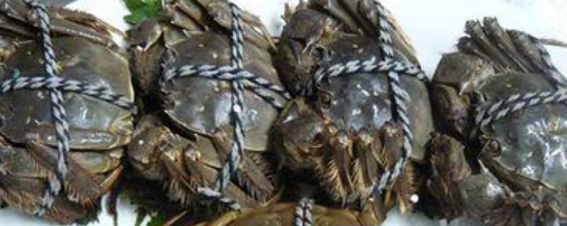死了的大闸蟹处理方法 大闸蟹死了可以