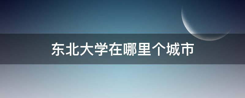 东北大学在哪里个城市 东北大学在哪个城市?