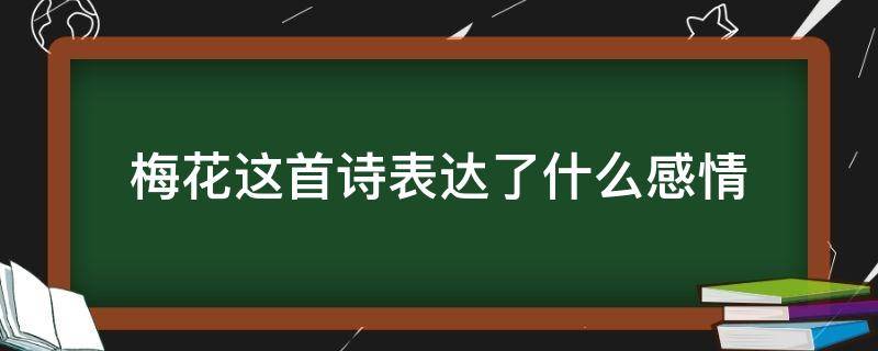 梅花这首诗表达了什么感情（梅花这首诗体现了什么的梅花）