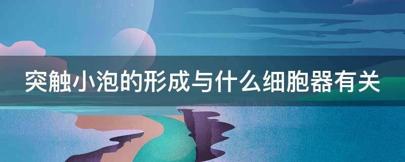 突触小泡的形成与什么细胞器有关 突触小泡是细胞吗