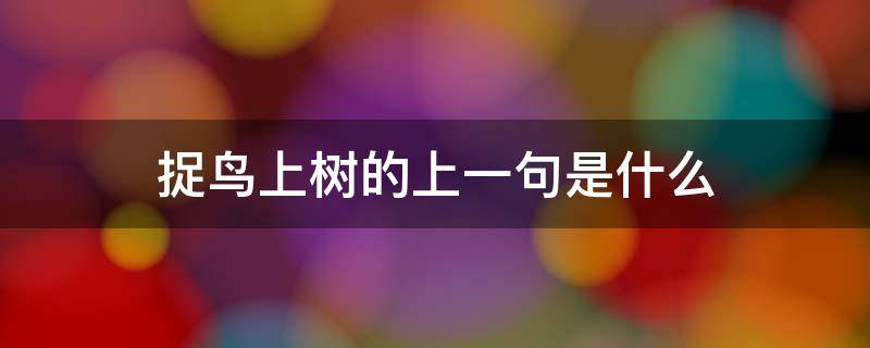 捉鸟上树的上一句是什么 捉鸟上树的上一句谚语