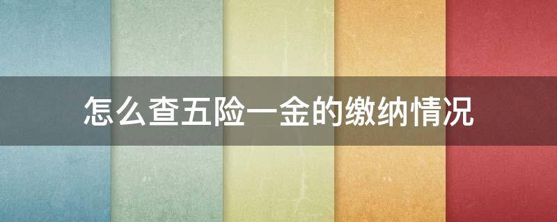 怎么查五险一金的缴纳情况 怎么查五险一金的缴纳情况表