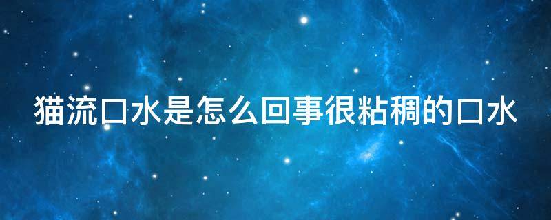 猫流口水是怎么回事很粘稠的口水（猫流口水是怎么回事很粘稠的口水不吃不喝）