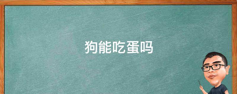 狗能吃蛋吗 狗能吃蛋黄吗
