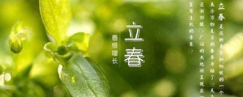 双立春是什么意思 双立春是什么时候