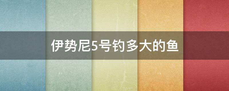 伊势尼5号钓多大的鱼（伊势尼5号钓多大的鱼竿）