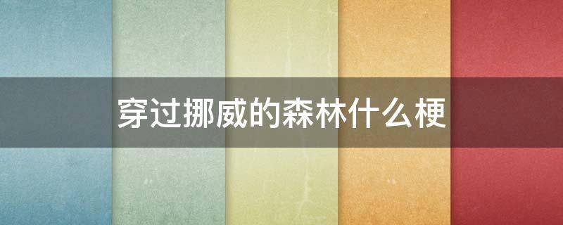 穿过挪威的森林什么梗