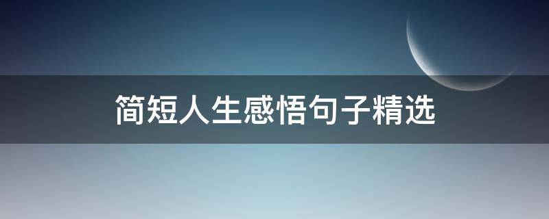 简短人生感悟句子精选（简短的人生感悟句子）