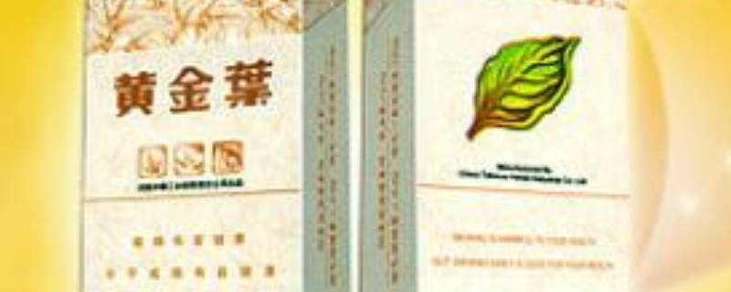 黄金叶产地是哪里 黄金叶 产地