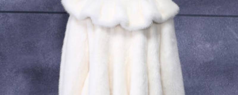 白色貂毛变黄怎么办 白色貂毛变黄怎么办呢