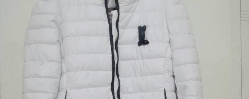 白色羽绒服领子发黄怎么洗白 白色羽绒服衣领发黄怎么洗白