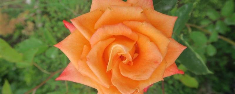 哪两种颜色可以调成橙色 哪两种颜色可以调成棕色