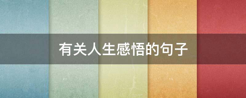 有关人生感悟的句子 有关人生感悟的句子句句蕴含哲理让人受益匪浅