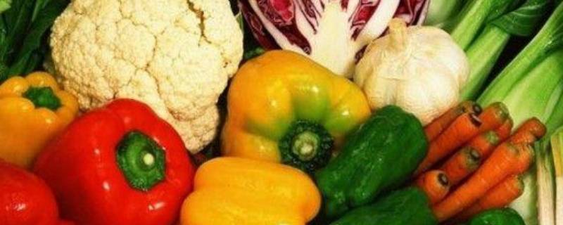 能放半个月以上的蔬菜 蔬菜保鲜180天