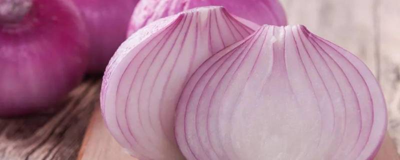 吃生洋葱有什么营养 吃糖蒜的好处和坏处