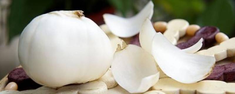 百合冻了以后能吃吗 百合冻了还能吃吗?