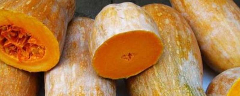 耐放的蔬菜 能长期保存的蔬菜