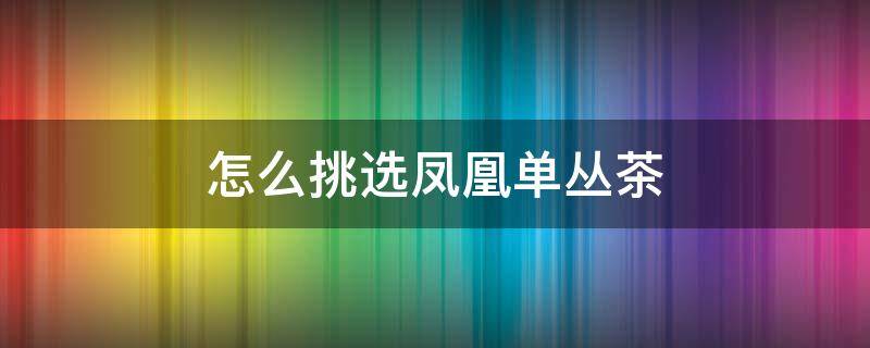 怎么挑选凤凰单丛茶（怎么挑选凤凰单丛茶叶）