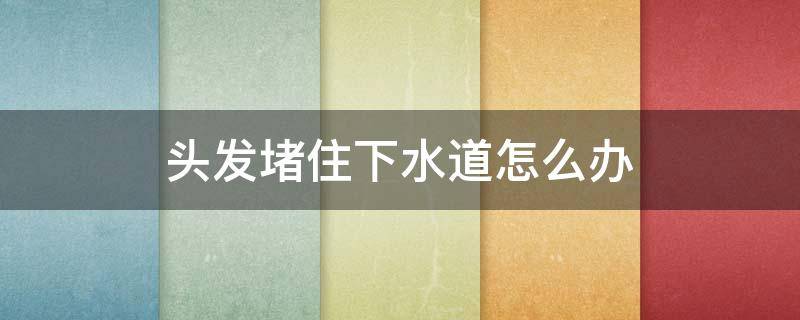 头发堵住下水道怎么办（头发堵住下水道怎么办视频）