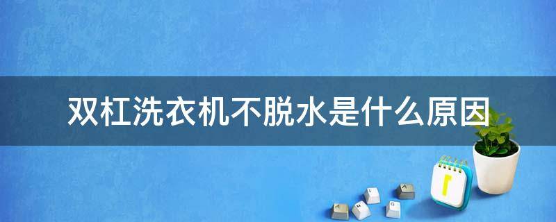 双杠洗衣机不脱水是什么原因 洗衣机双杠的,洗涤不工作了什么原因