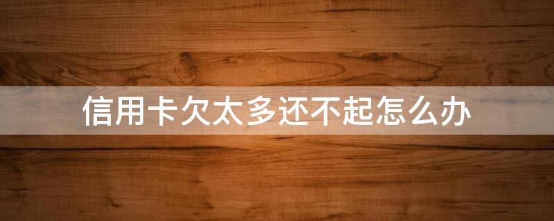 信用卡欠太多还不起怎么办（信用卡欠太多还不起怎么办理）