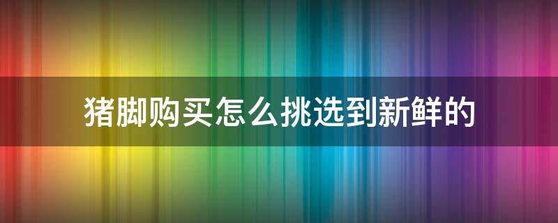 猪脚购买怎么挑选到新鲜的（猪脚怎么选好的）