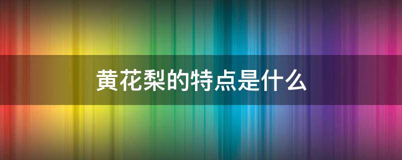 黄花梨的特点是什么 黄花梨有什么特点