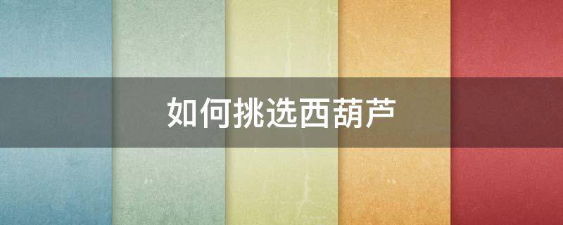 如何挑选西葫芦 怎样挑选西葫芦