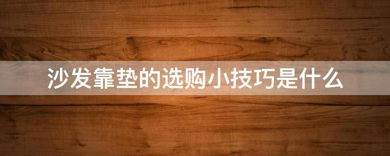 沙发靠垫的选购小技巧是什么 沙发靠垫选什么材质布料好