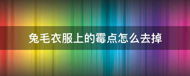 兔毛衣服上的霉点怎么去掉（兔毛衣服上的霉点怎么去掉图片）