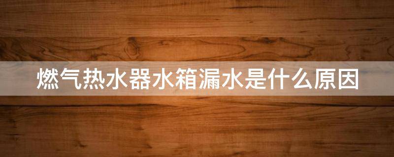燃气热水器水箱漏水是什么原因（燃气热水器水箱漏水的原因以及解决方法）