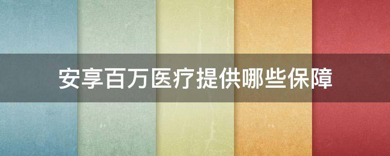 安享百万医疗提供哪些保障（安享百万医疗提供哪些保障呢）