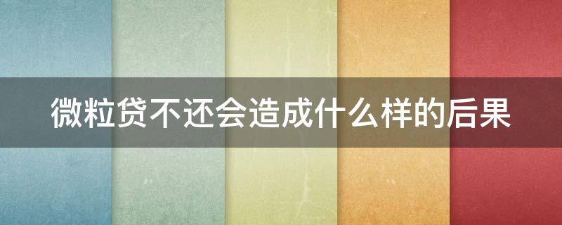 微粒贷不还会造成什么样的后果 网贷不还会有什么后果