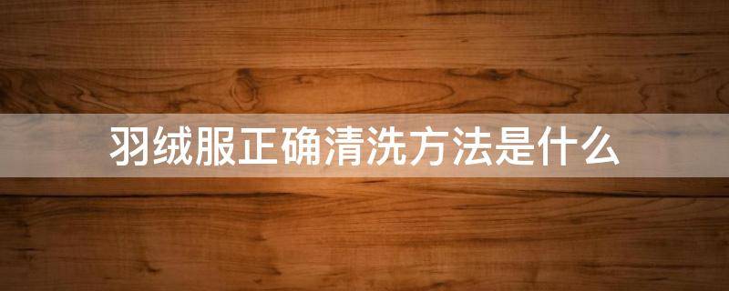 羽绒服正确清洗方法是什么 羽绒服正确清洗方法是什么