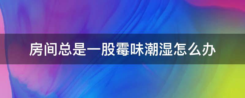 房间总是一股霉味潮湿怎么办 房间总是一股霉味潮湿怎么办小妙招