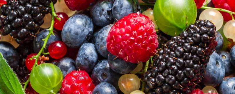 春天有什么水果（春天有什么水果上市）