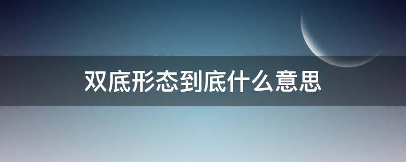 双底形态到底什么意思 双底形态图解