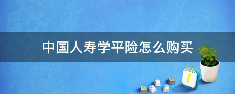 中国人寿学平险怎么购买（中国人寿学平险购买成功怎么没有单号）