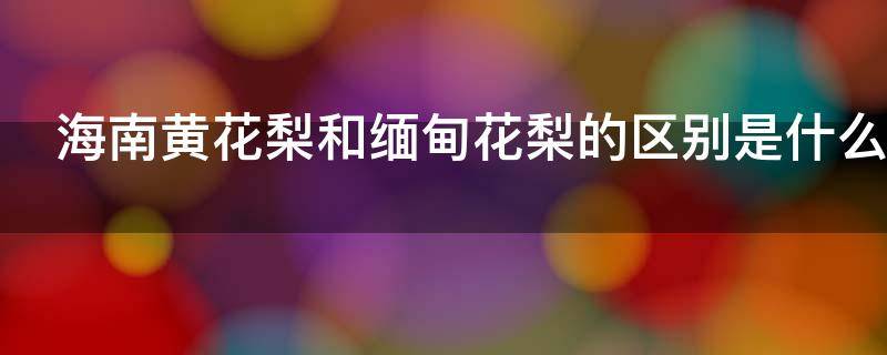 海南黄花梨和缅甸花梨的区别是什么（海南黄花梨和缅甸花梨的区别是什么呢）