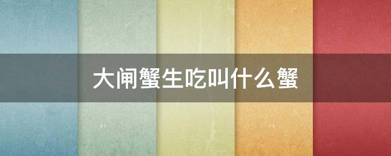 大闸蟹生吃叫什么蟹 大闸蟹生吃叫什么蟹类