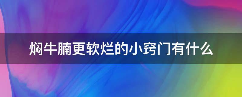 焖牛腩更软烂的小窍门有什么（焖牛腩怎么弄）