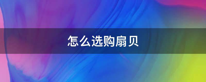 怎么选购扇贝 怎样选扇贝