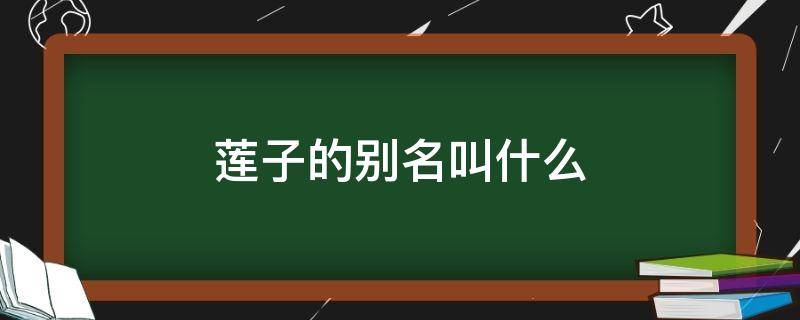莲子的别名叫什么 莲子的别名叫什么呢