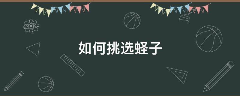 如何挑选蛏子（活蛏子怎么做好吃）