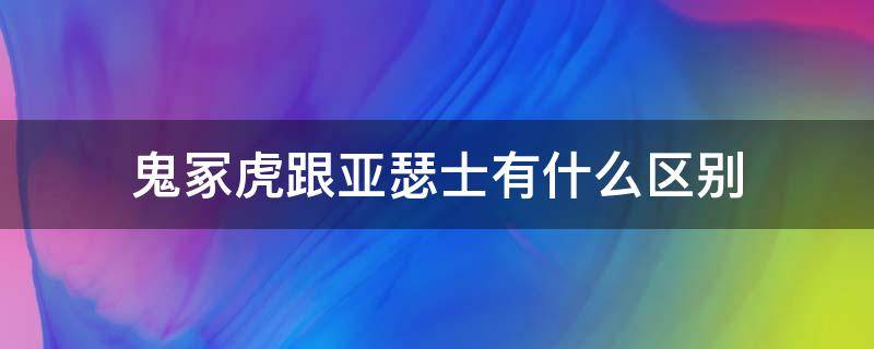 鬼冢虎跟亚瑟士有什么区别 鬼冢虎跟亚瑟士的区别是什么